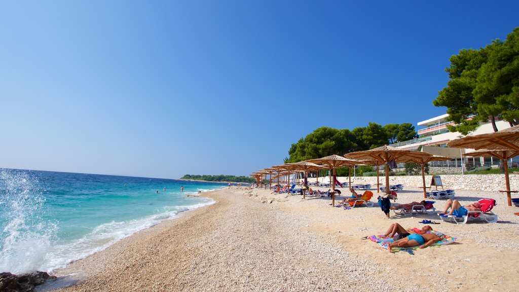 Primosten Beach which includes a pebble beach as well as a small group of people