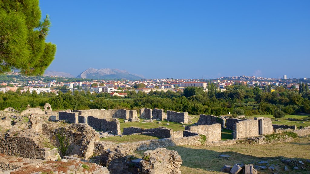 Salona Ruins which includes tranquil scenes and a ruin