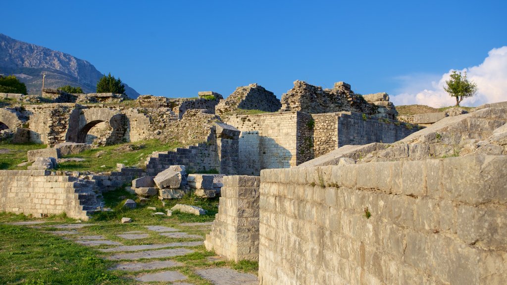 Salona Ruins showing a ruin