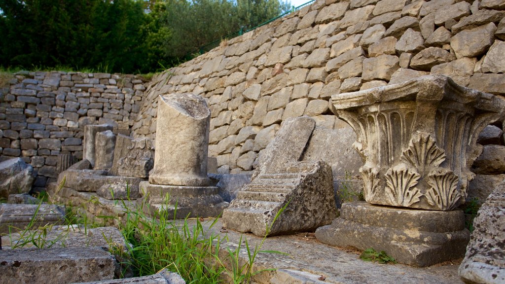 Salona Ruins showing heritage elements and a ruin