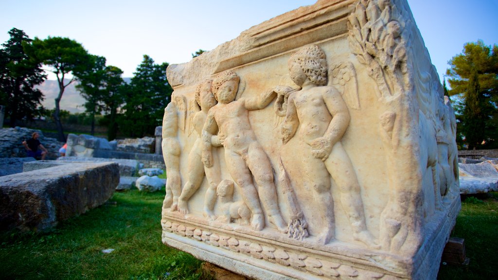 Salona Ruins showing heritage elements and a ruin