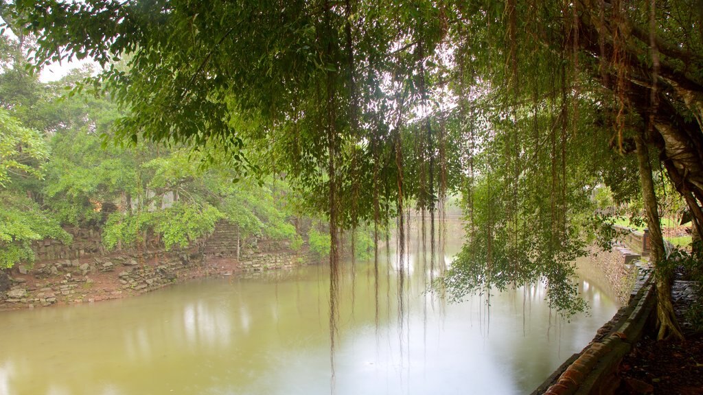 Tumba de Tu Duc mostrando escenas tropicales, selva y un río o arroyo