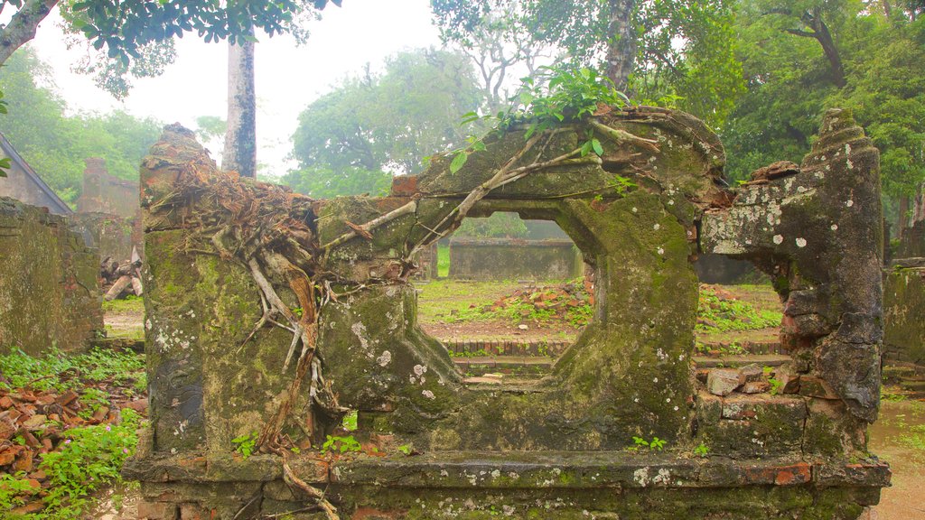 Tumba de Tu Duc mostrando elementos del patrimonio y una ruina