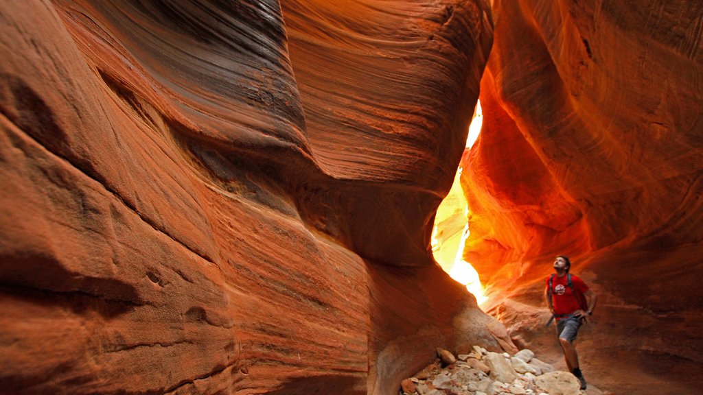 Saint George mettant en vedette une gorge ou un canyon et escalade aussi bien que un homme seul