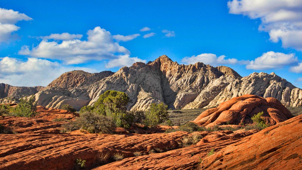 St. George que incluye vistas de paisajes, montañas y vistas al desierto