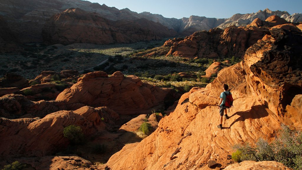 St. George featuring a gorge or canyon and hiking or walking as well as an individual male