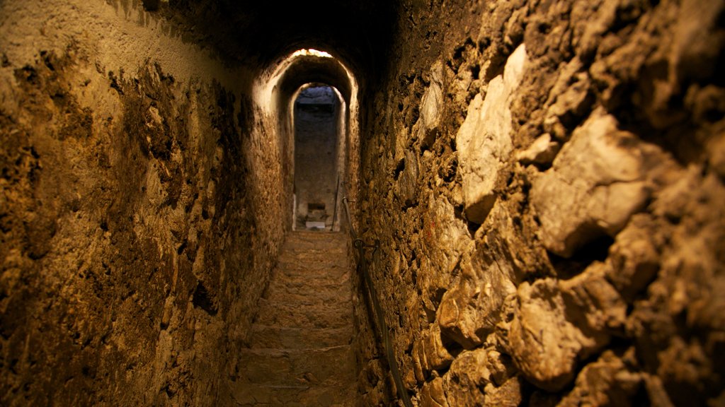 Castillo de Bran que incluye un castillo, elementos patrimoniales y vista interna