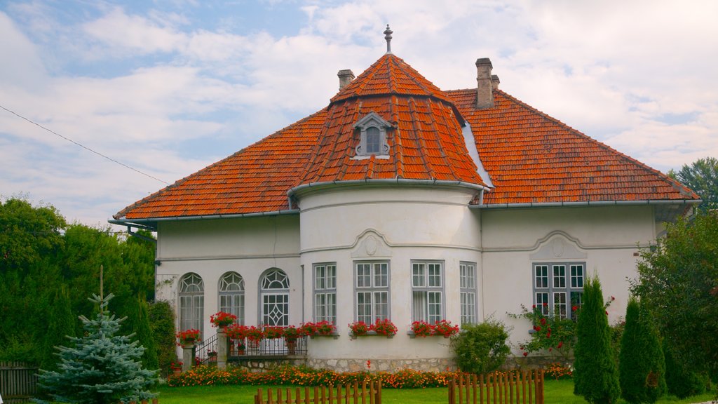 Bran Castle which includes a park and a house