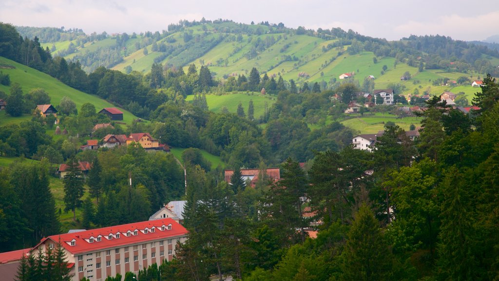 Bran Castle featuring a small town or village, mountains and tranquil scenes