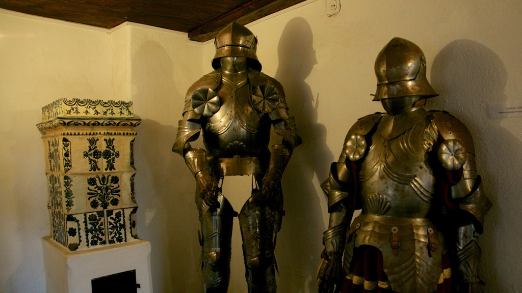 Castillo de Bran ofreciendo artículos militares, vista interna y castillo o palacio