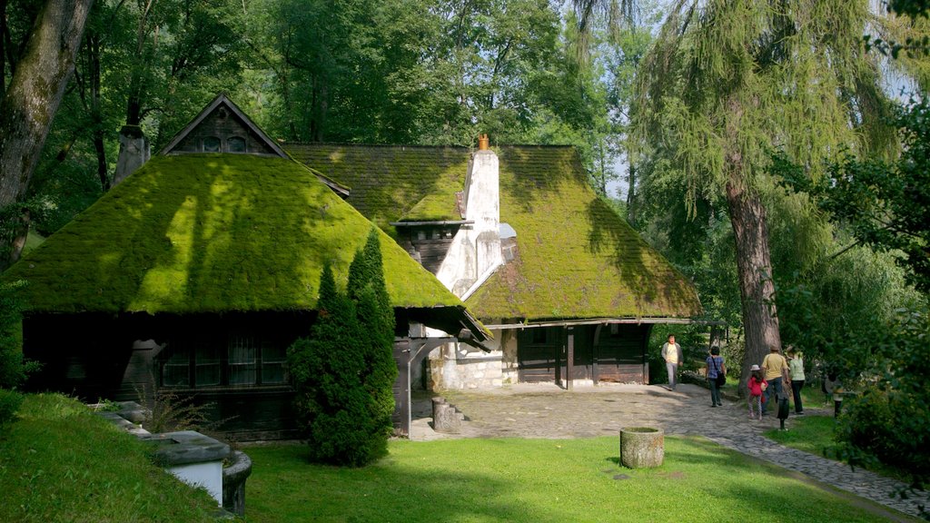 Castillo de Bran mostrando un jardín y una casa