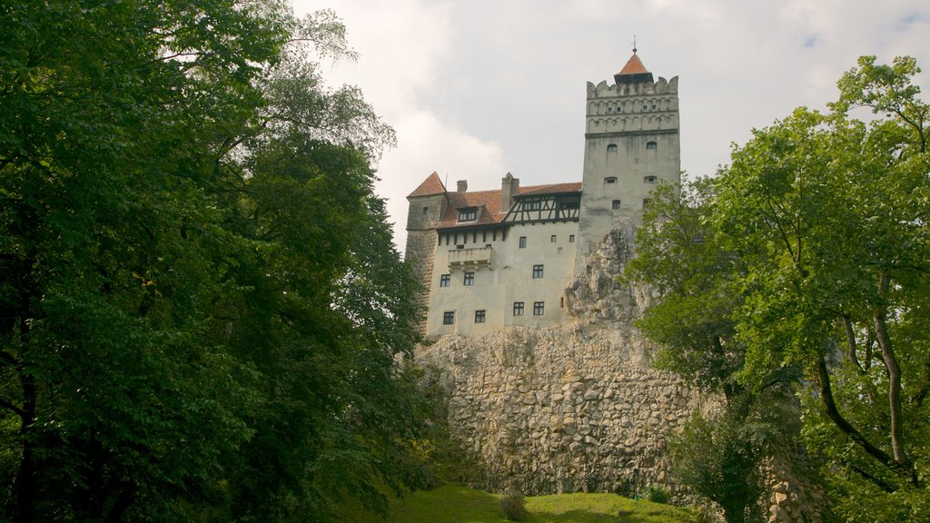 Castello di Bran mostrando castello e architettura d\'epoca