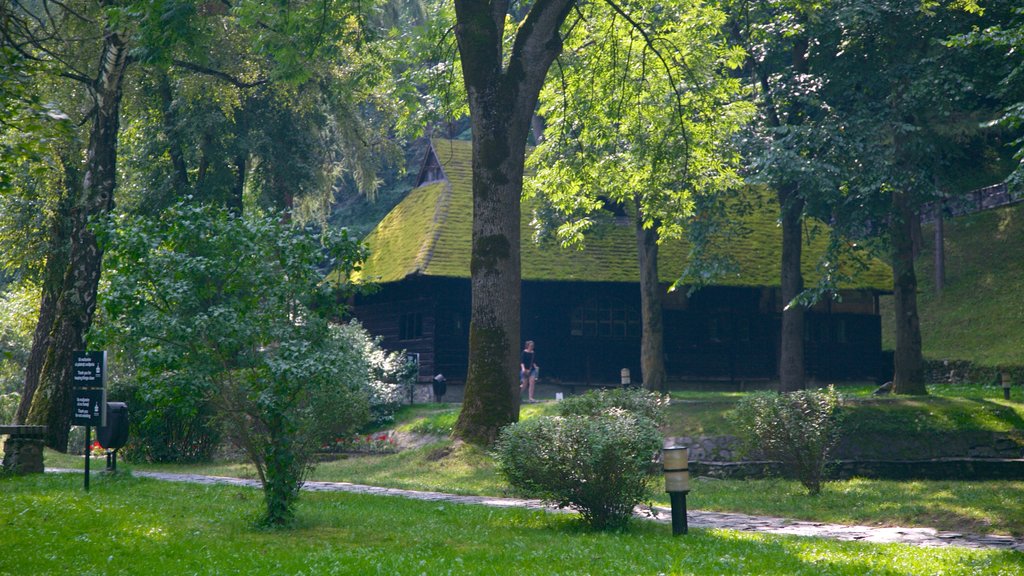 Castelo de Bran mostrando um parque