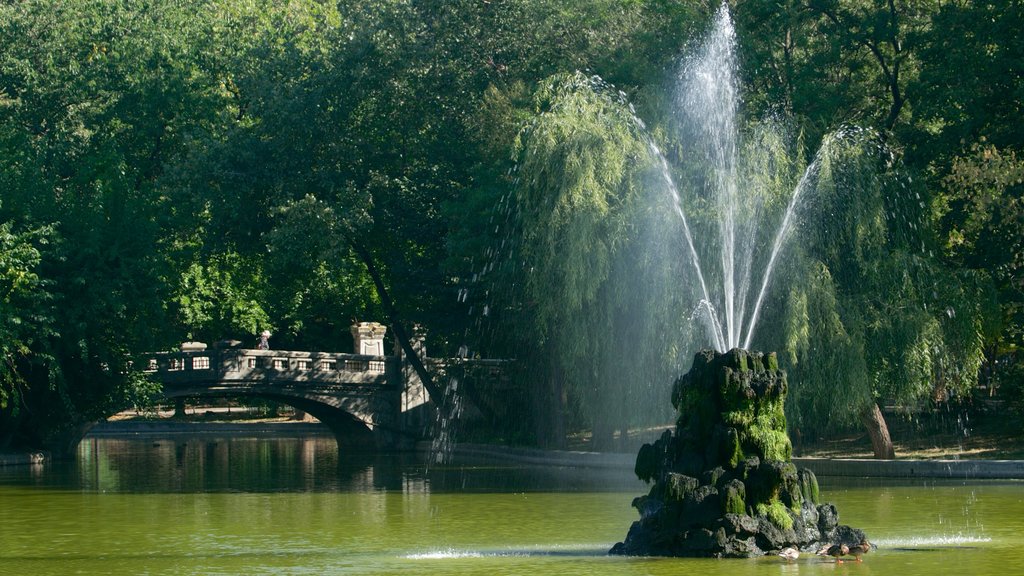 Jardín Cismigiu que incluye una fuente, un río o arroyo y un puente