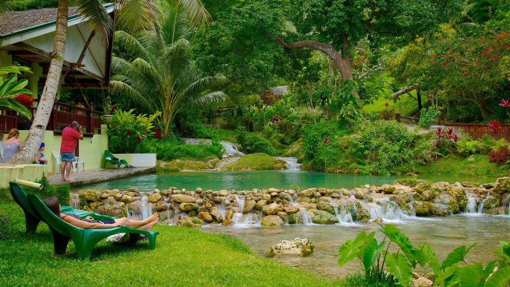 Mele Cascades showing a pond, tropical scenes and a waterfall