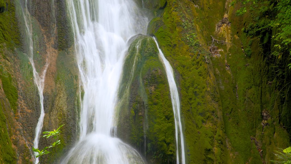 Mele Cascades which includes a waterfall