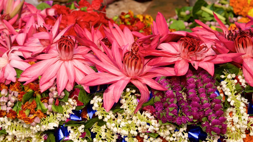 New Vishwanatha Temple showing flowers