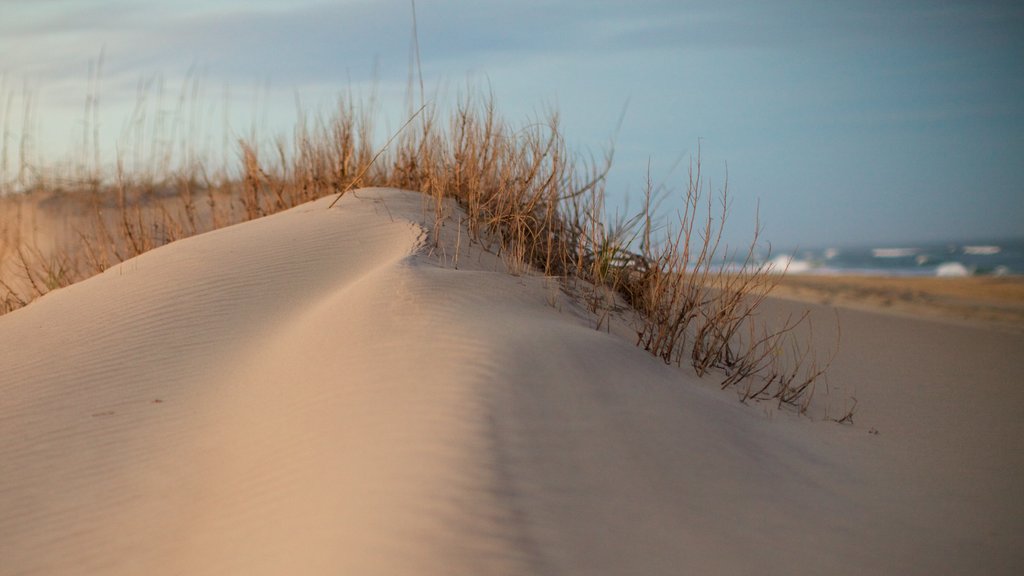 Cape Hatteras National Seashore featuring tranquil scenes and a beach