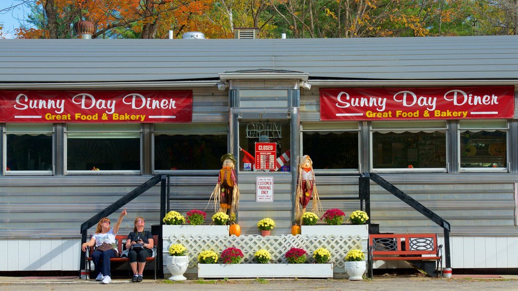 Lincoln showing signage, flowers and food