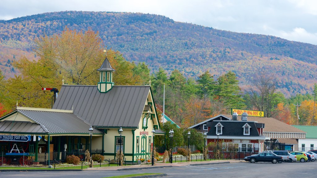 Lincoln featuring a small town or village