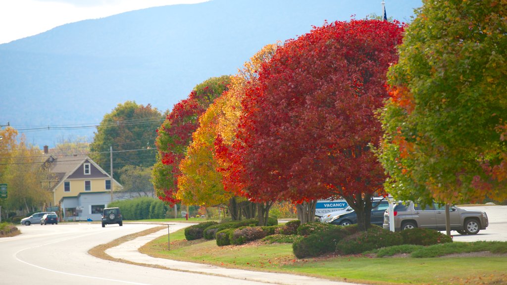 Lincoln showing a small town or village and autumn leaves