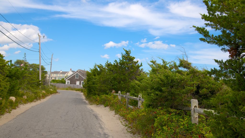 Barnstable que incluye un jardín