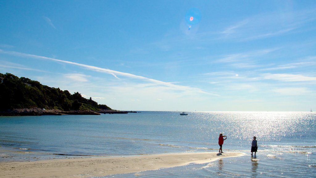 Old Silver Beach showing rocky coastline, fishing and a beach