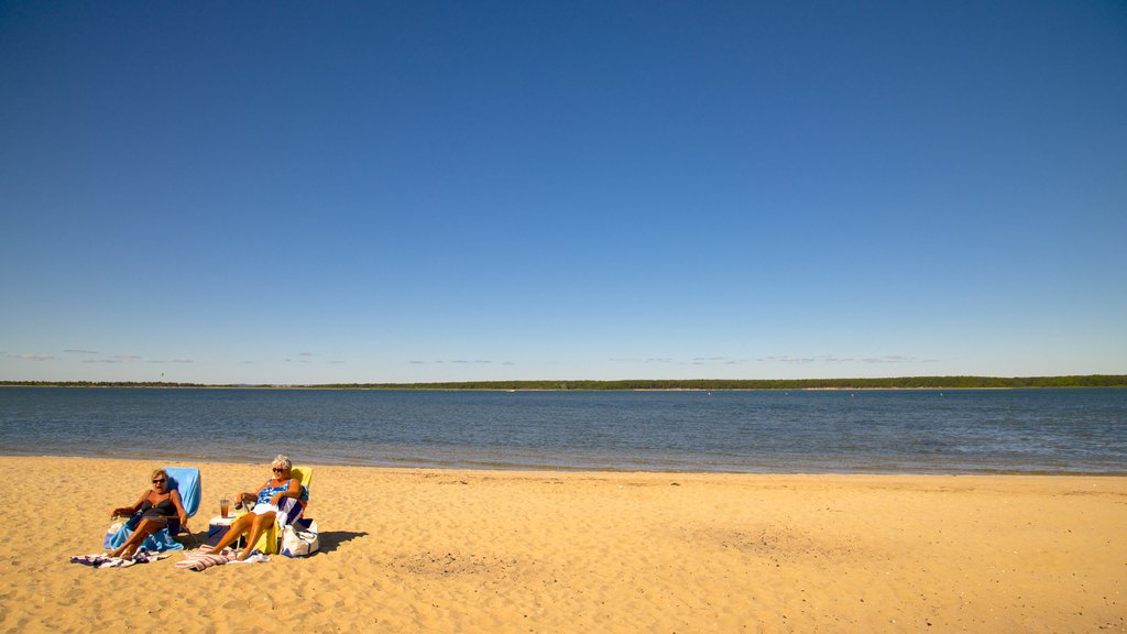 South Cape Beach delstatspark fasiliteter samt sandstrand i tillegg til en liten gruppe med mennesker