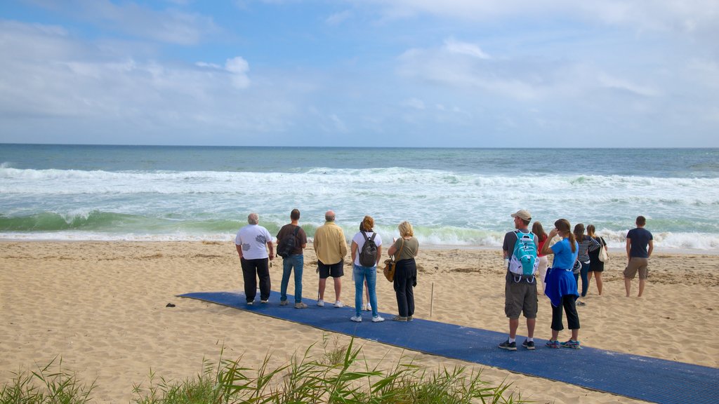 Coast Guard Beach showing a beach as well as a small group of people