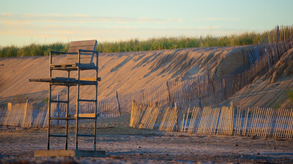 Sandy Neck Beach showing a pebble beach