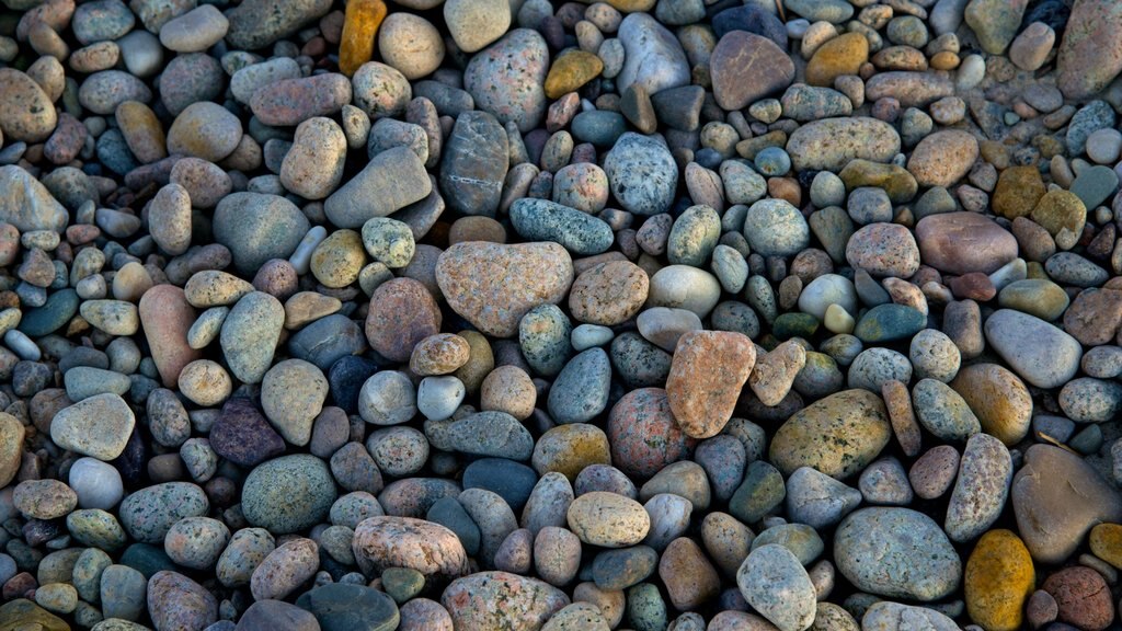 Sandy Neck Beach showing a pebble beach