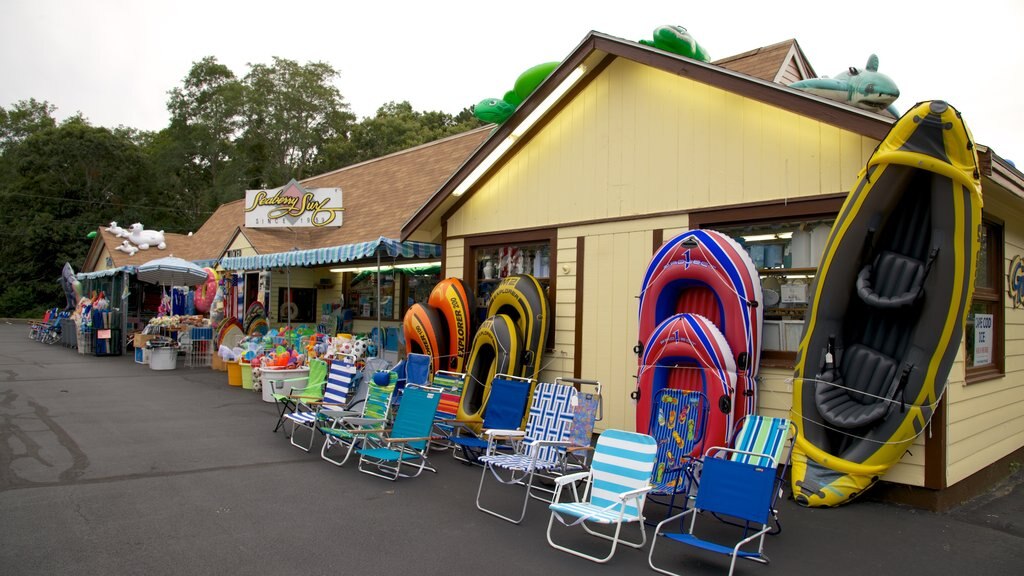 Truro showing general coastal views and shopping