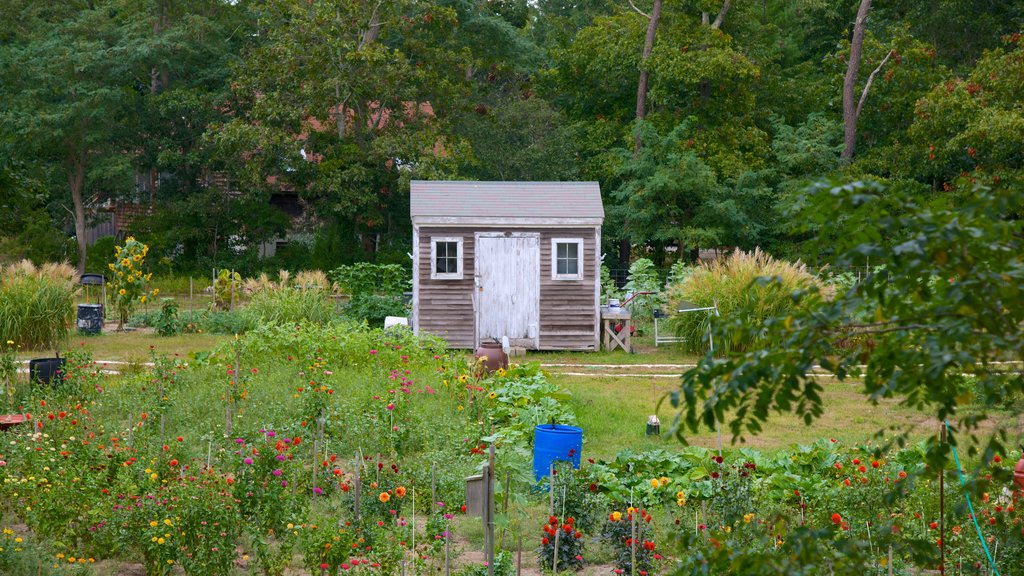 Truro which includes a garden, flowers and a house