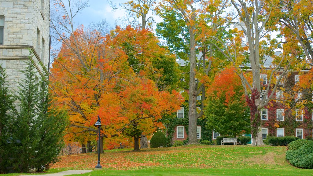 Williamstown which includes autumn leaves and a park