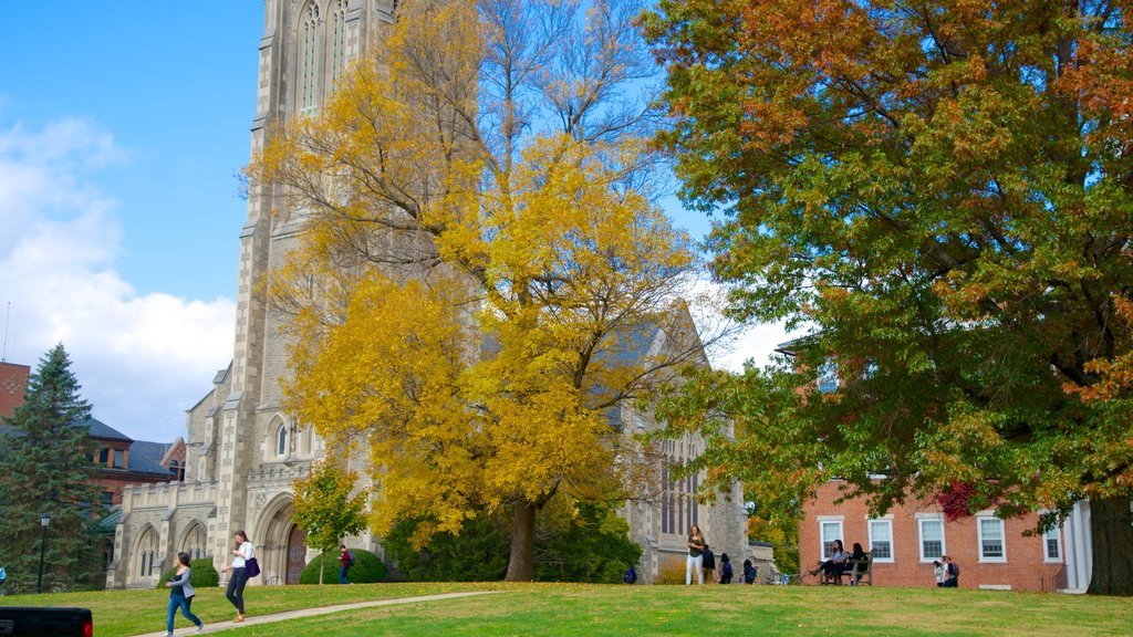 Williamstown showing a garden and a church or cathedral