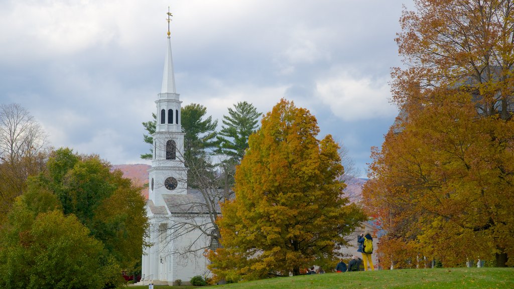 Williamstown featuring a park and a church or cathedral