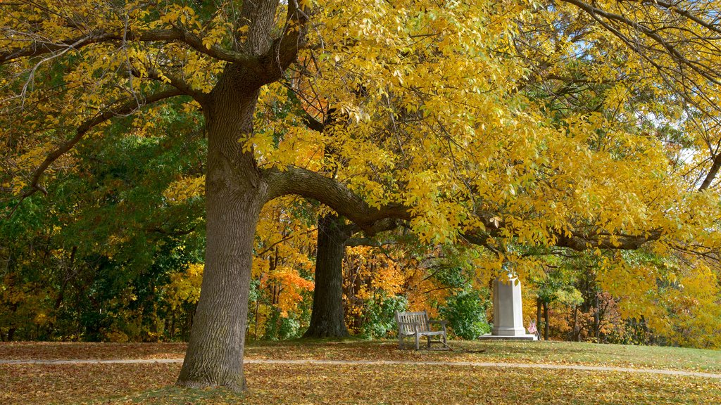 Williamstown which includes a park and autumn leaves