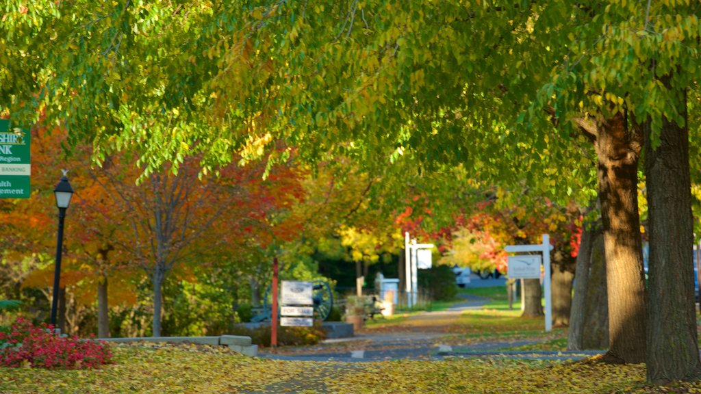 Lenox mostrando colores de otoño