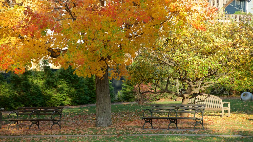 Lenox ofreciendo colores de otoño