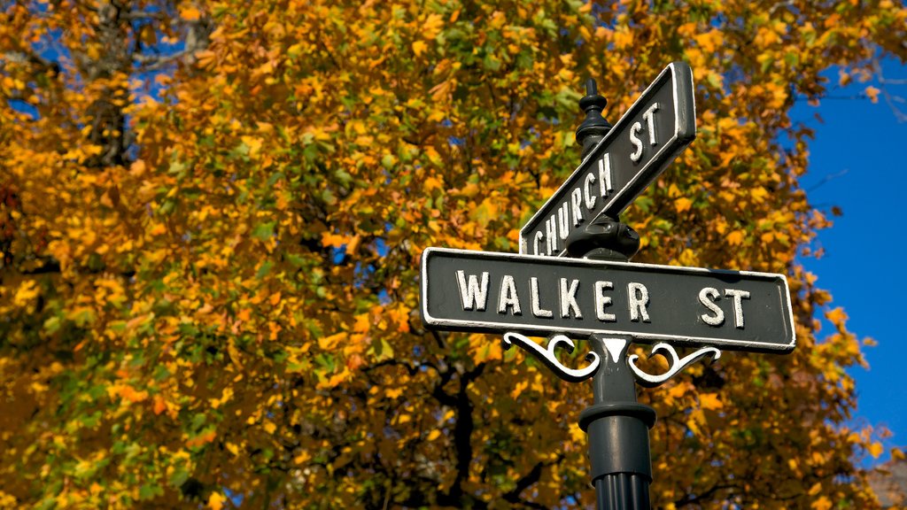 Lenox showing signage and autumn colours