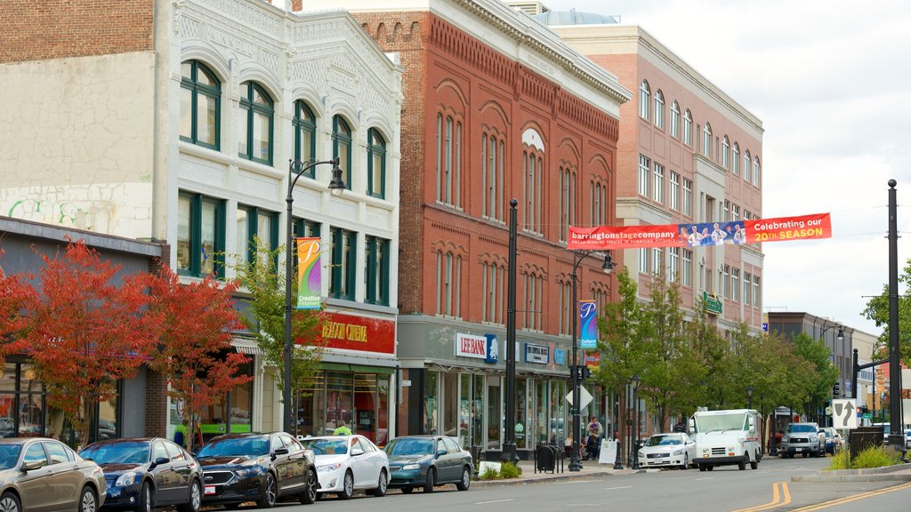 Pittsfield featuring street scenes