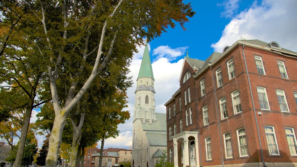 Pittsfield showing a church or cathedral