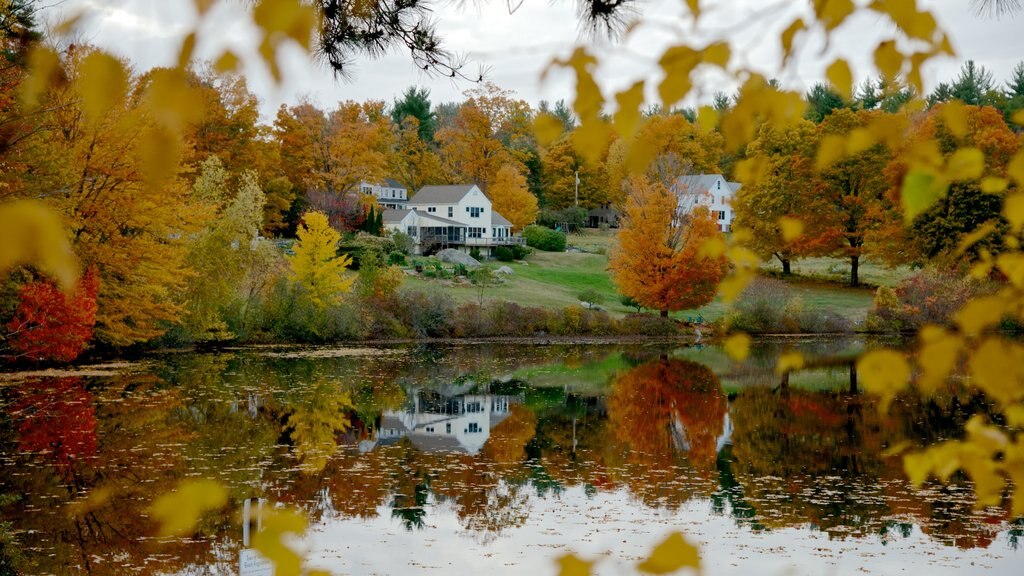 Hancock ofreciendo hojas de otoño y un lago o abrevadero