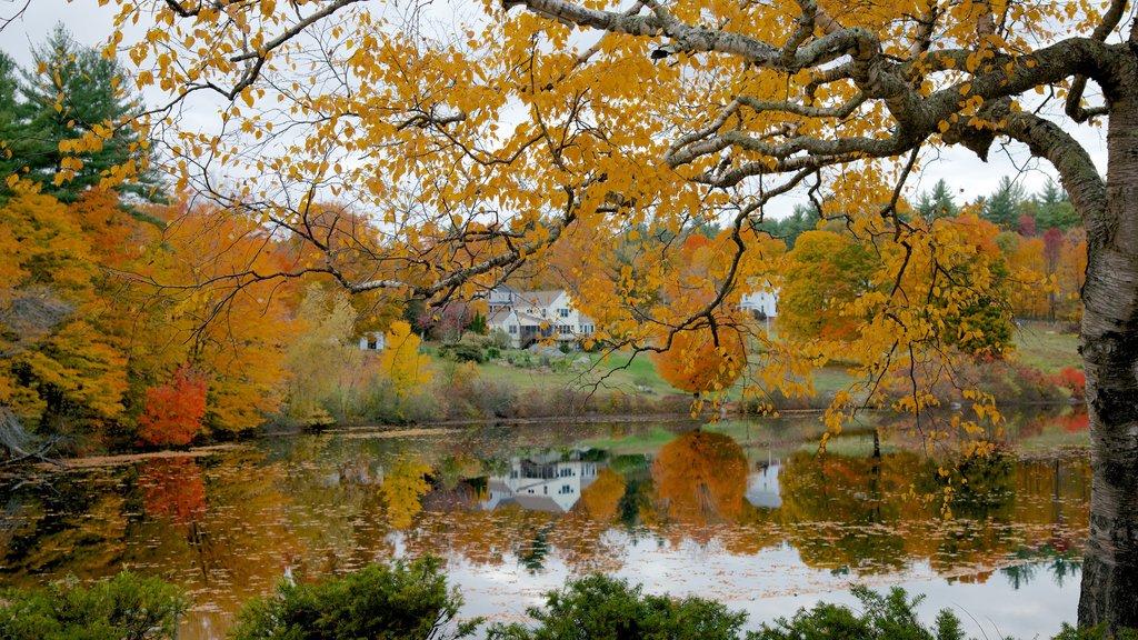 Hancock featuring fall colors and a lake or waterhole