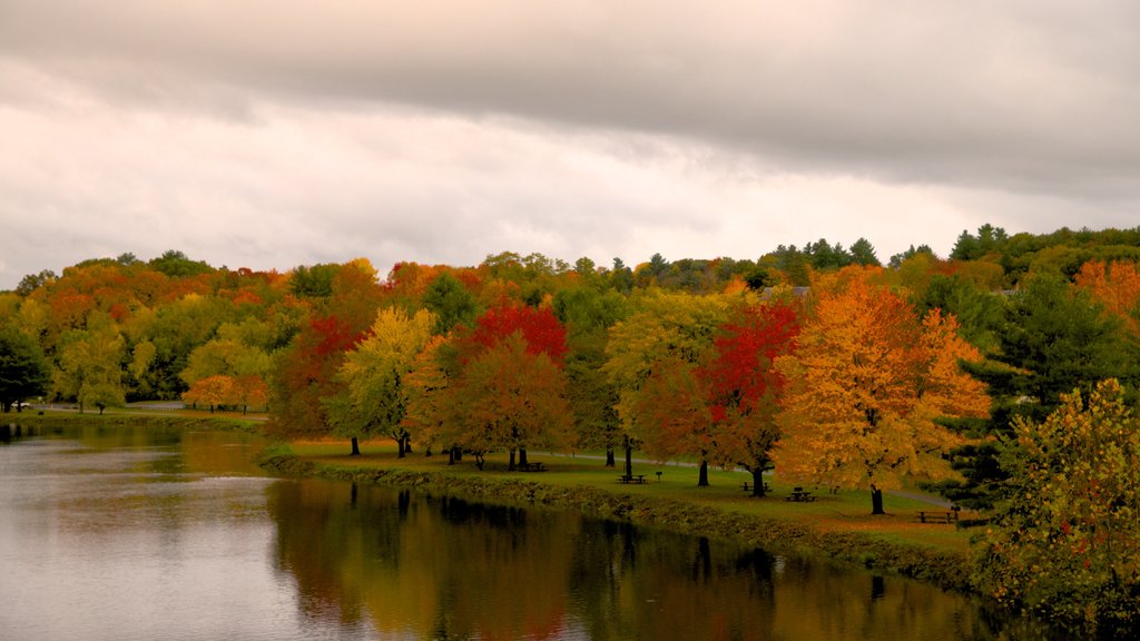 Turners Falls que incluye un río o arroyo y hojas de otoño