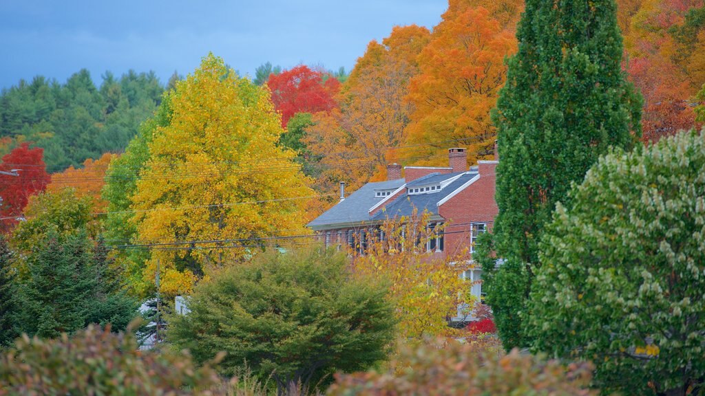 Peterborough ofreciendo una casa y hojas de otoño