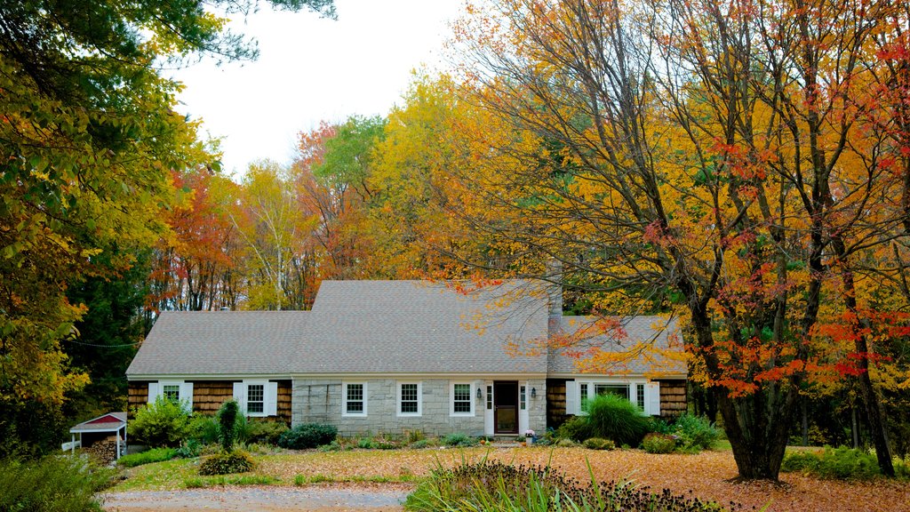 Peterborough featuring fall colors and a house