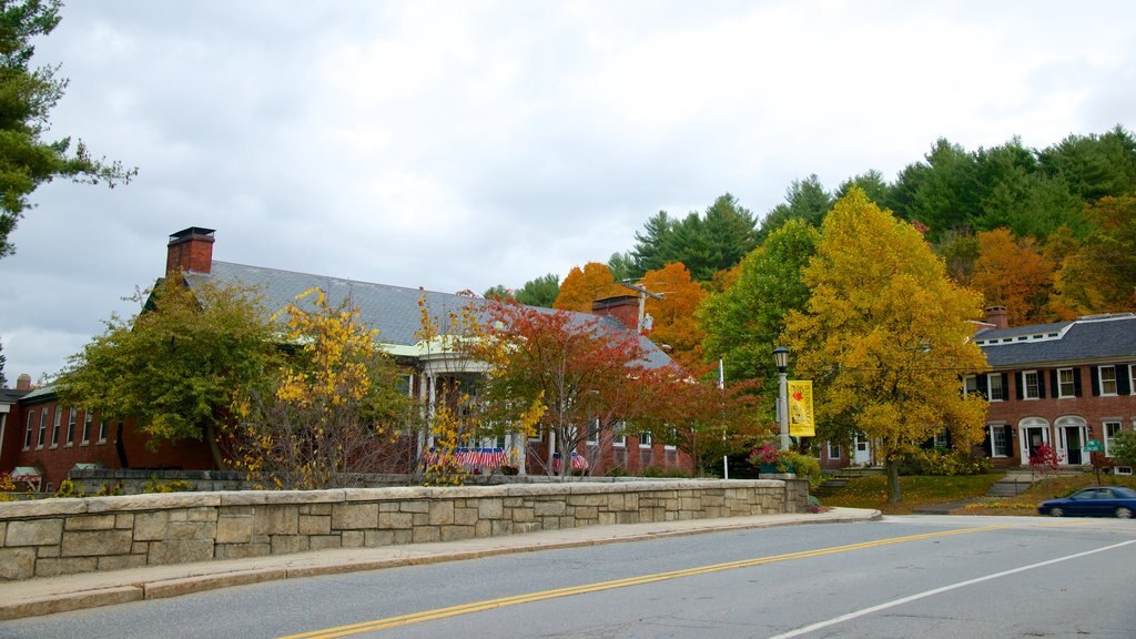 Peterborough showing autumn leaves and a small town or village