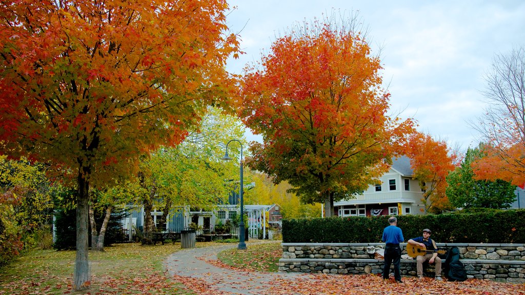 Peterborough showing a garden and autumn colours as well as a small group of people