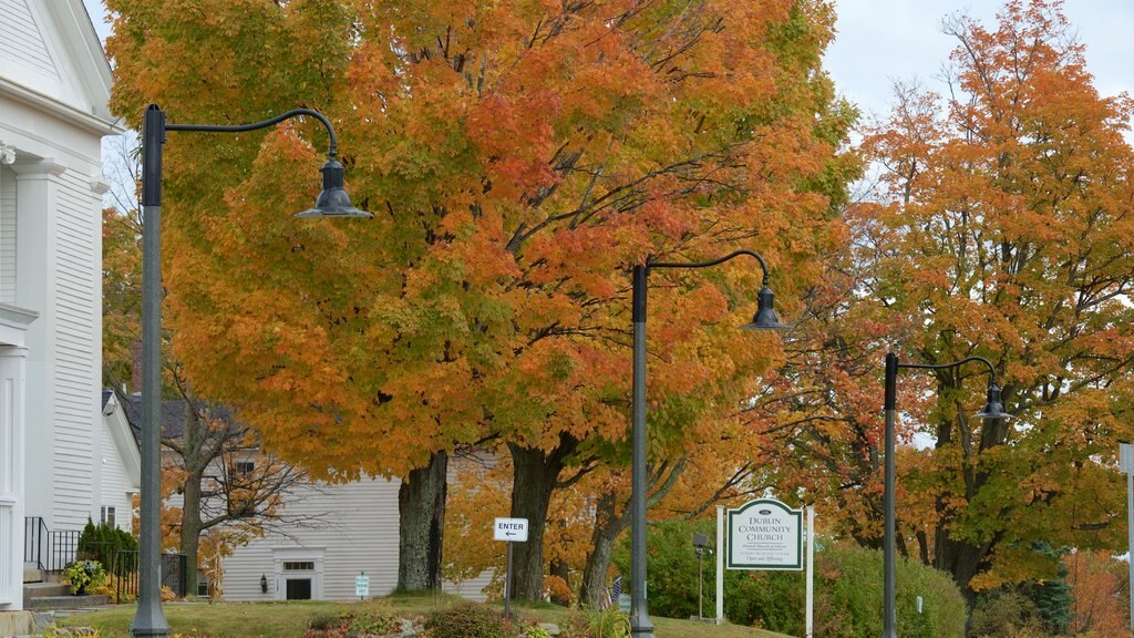 Dublin caratteristiche di piccola città o villaggio e colori d\'autunno